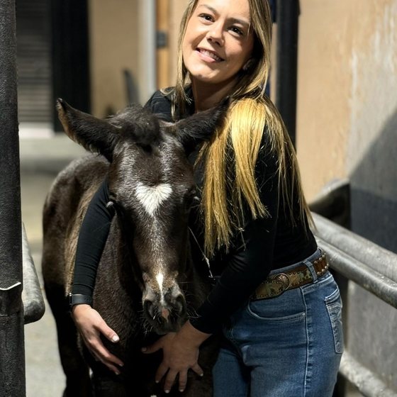 Dra. Bruna Nanzer